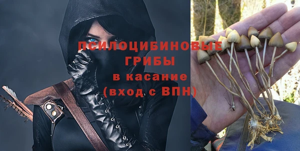 таблы Белокуриха