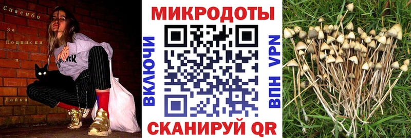 нарко площадка формула  Ермолино  Псилоцибиновые грибы мицелий 